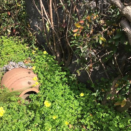 Villa No 5 ボドルム エクステリア 写真